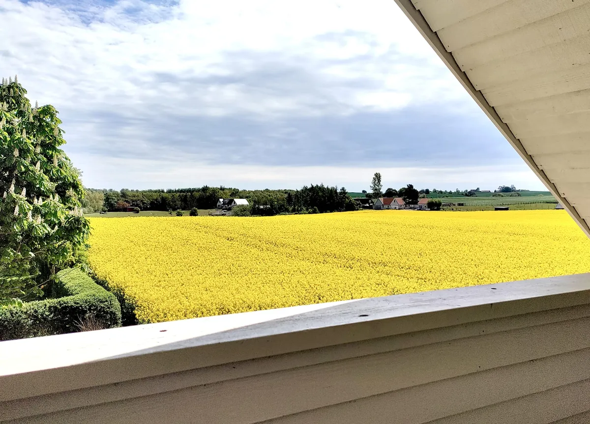 Hyreslägenhet på Ystad i ystad