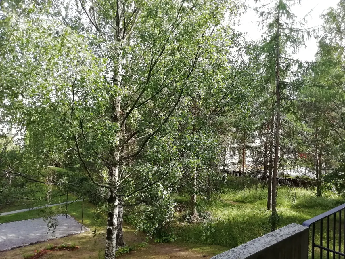 Hyreslägenhet på Salo i salo