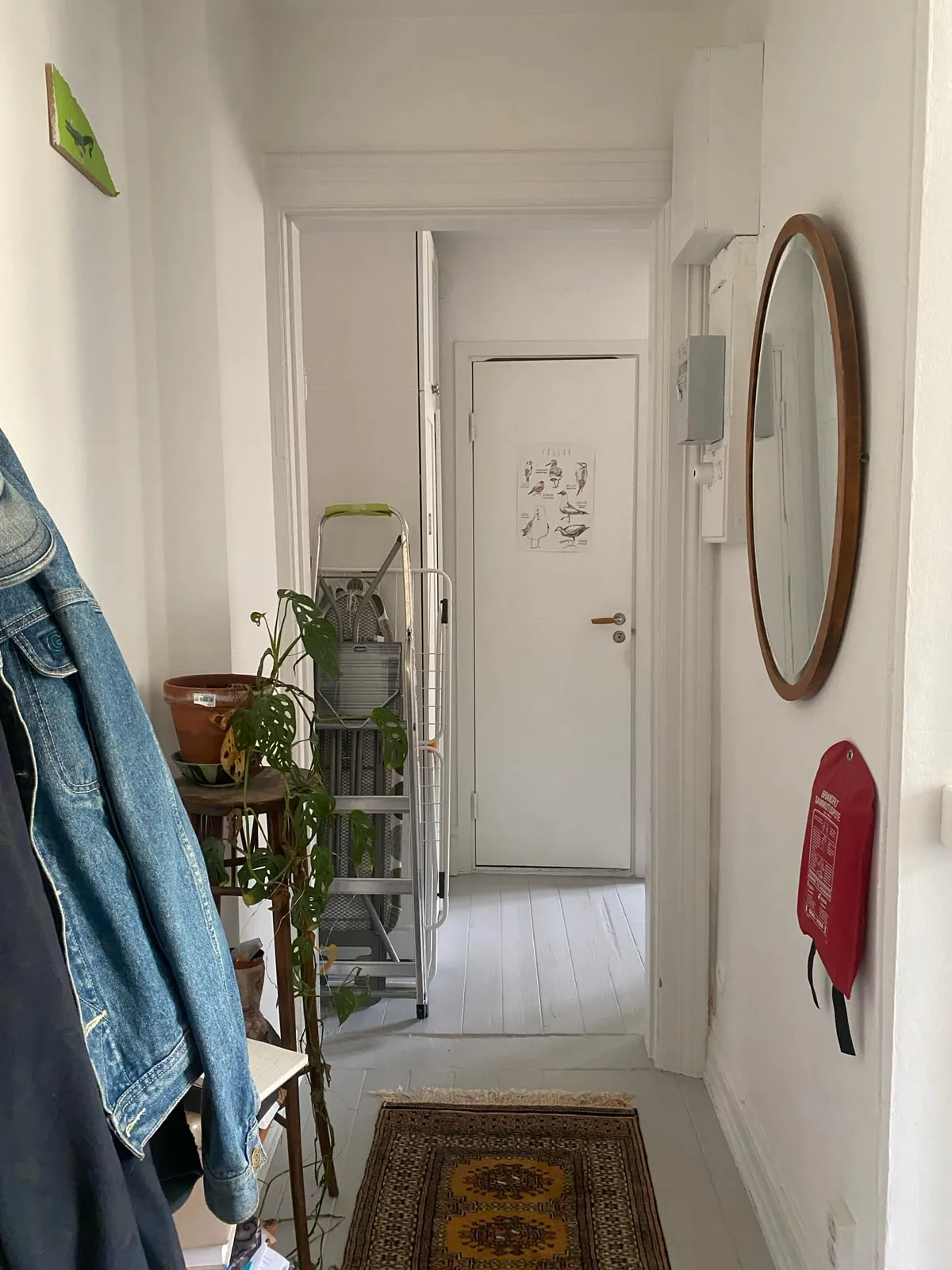 Hyreslägenhet på Malmö i malmo