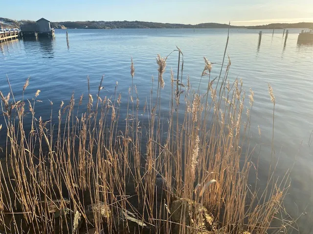 Hyresbostad på Brännö i branno