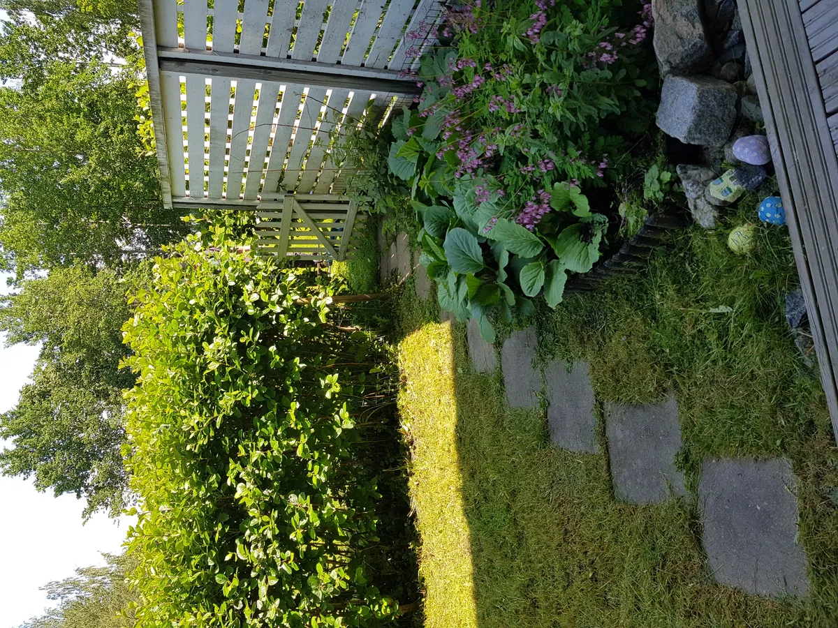 Hyreslägenhet på Kuopio i kuopio