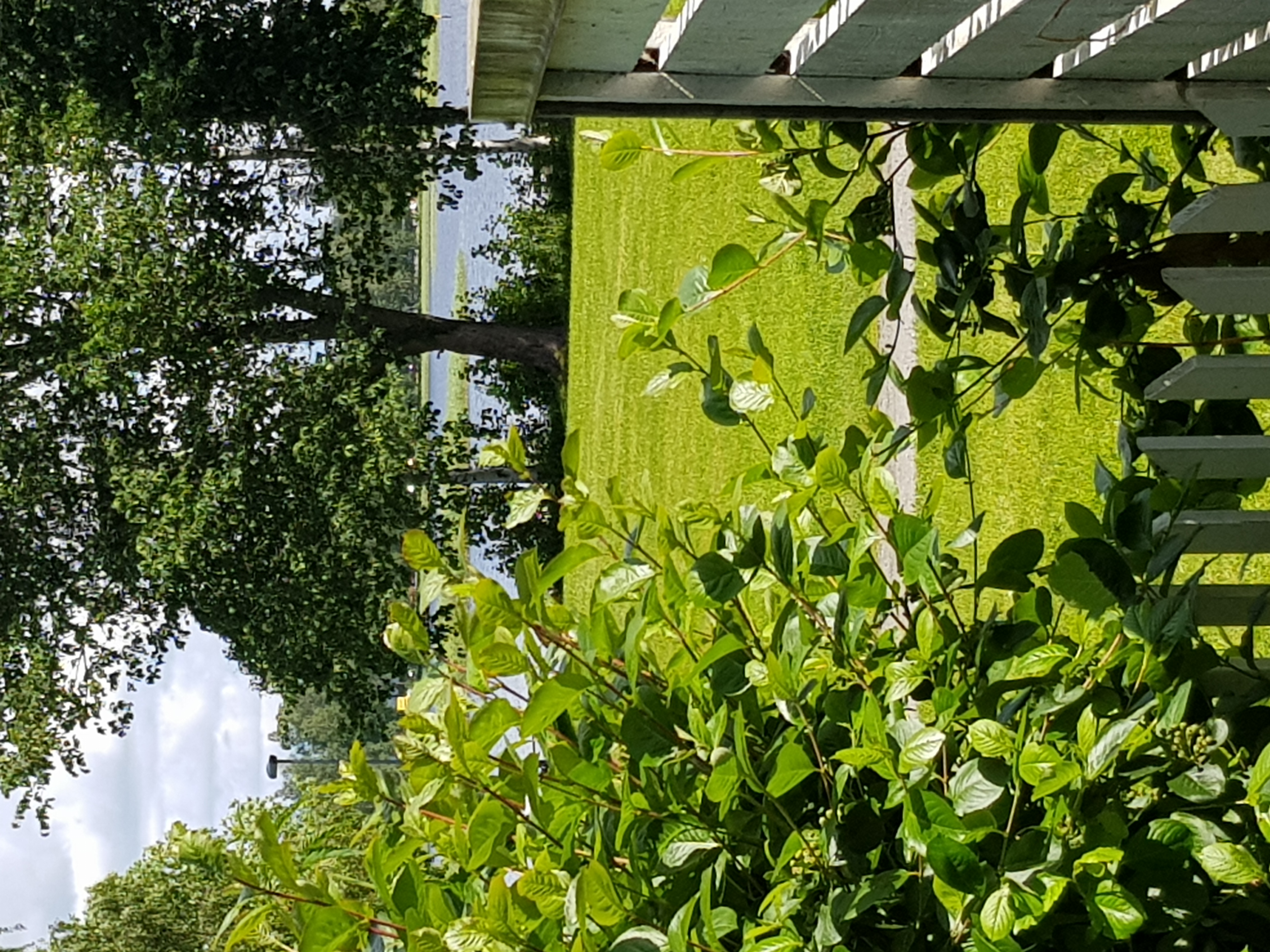 Hyreslägenhet på Kuopio i kuopio