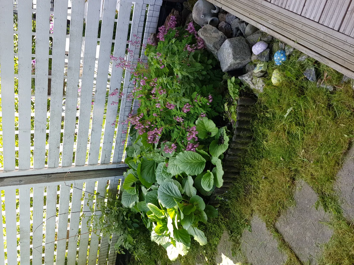Hyreslägenhet på Kuopio i kuopio