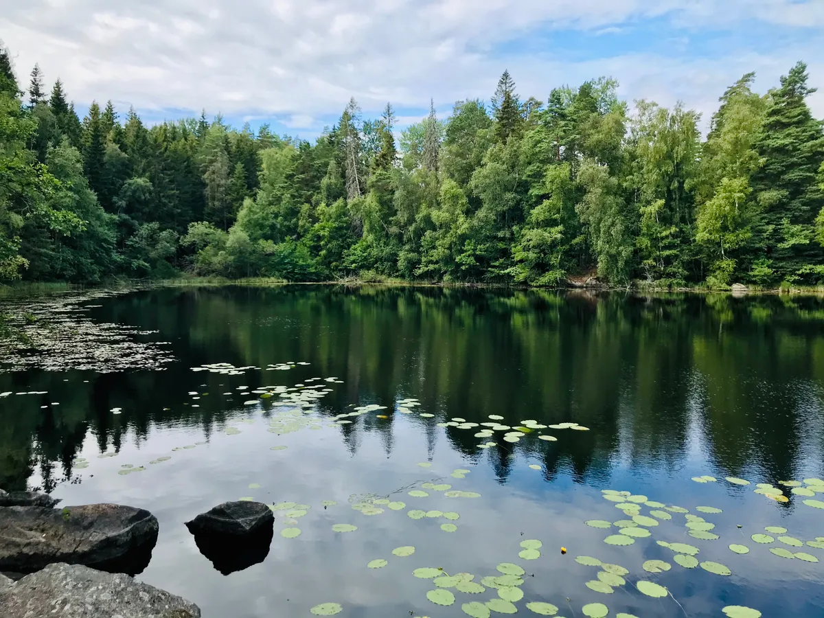 Hyresbostad på Kisa i kisa