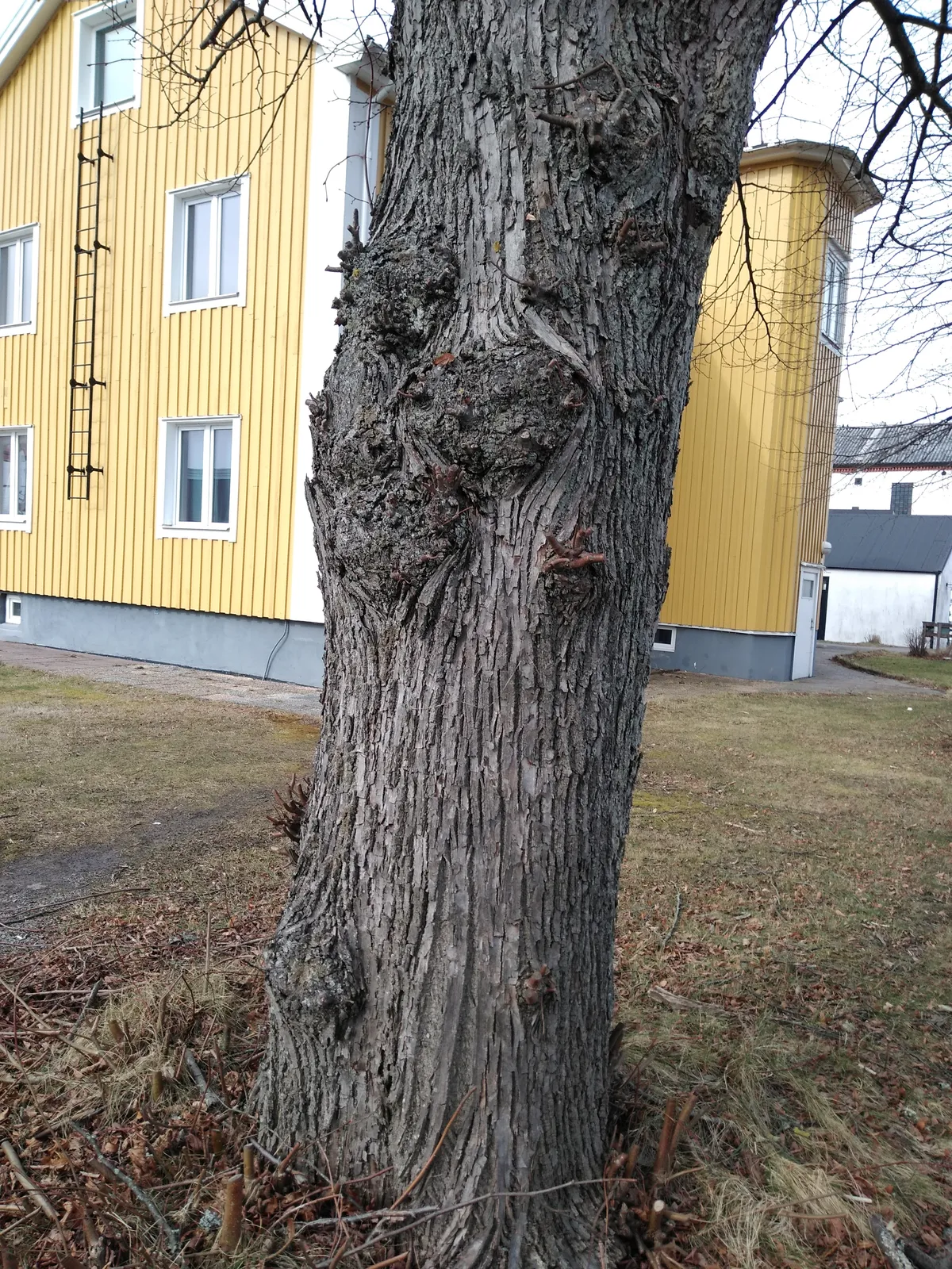 Hyresbostad på Surte i surte