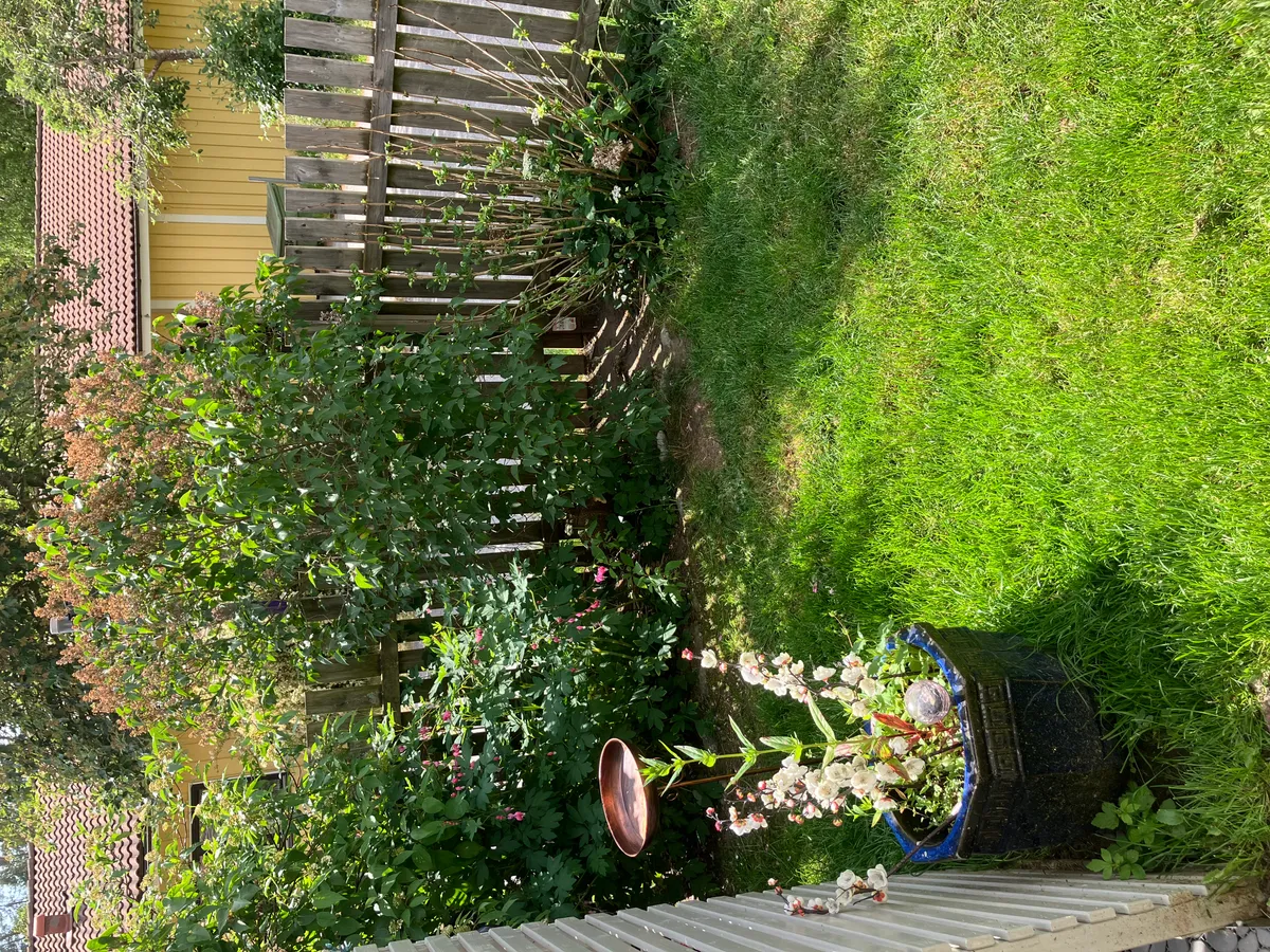 Hyresbostad på Skogås i skogas