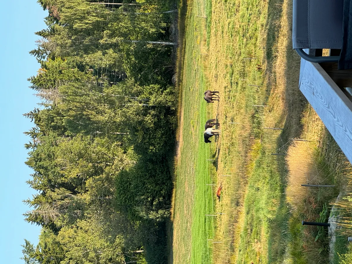 Hyresbostad på Norrtälje i norrtalje