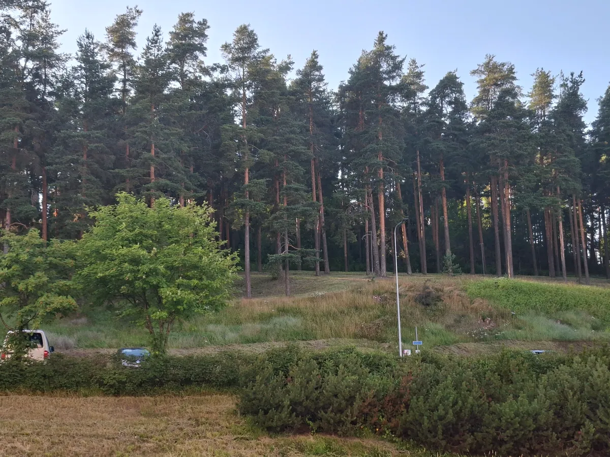 Hyreslägenhet på Jyväskylä i jyvaskyla