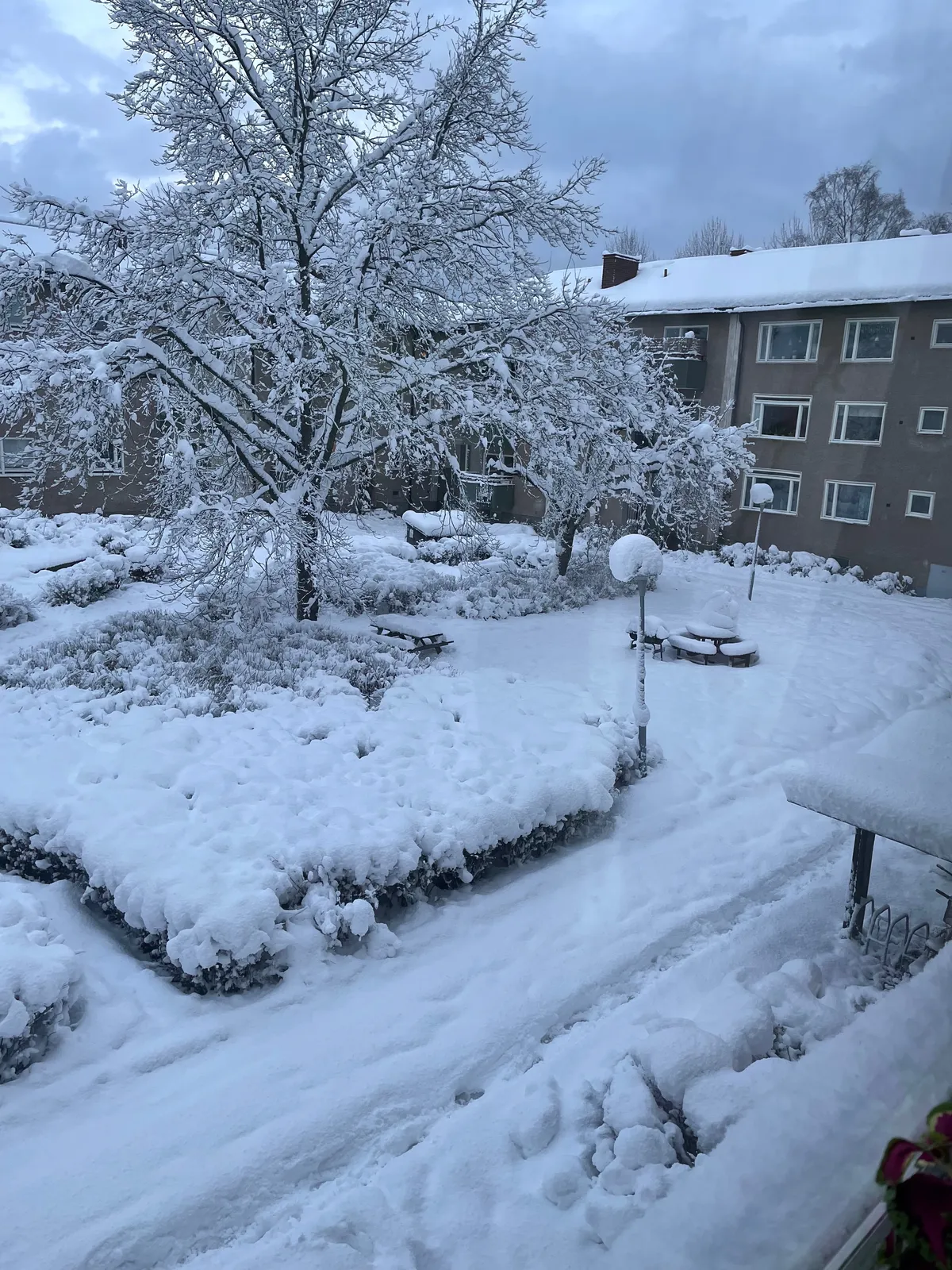 Hyreslägenhet på Stockholm i stockholm