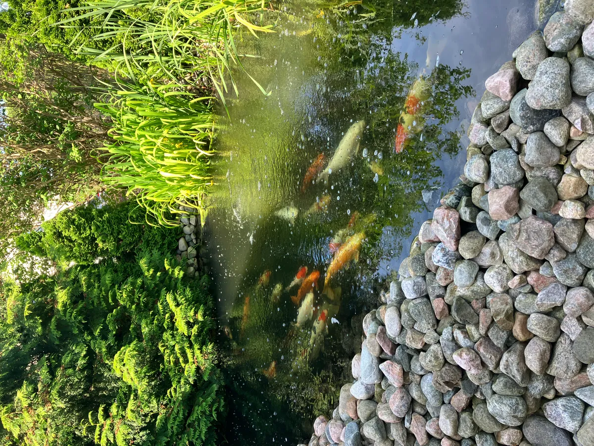 Hyreslägenhet på Halmstad i halmstad