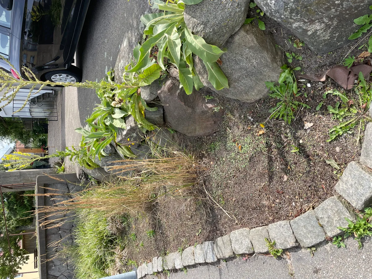 Hyreslägenhet på Varberg i varberg