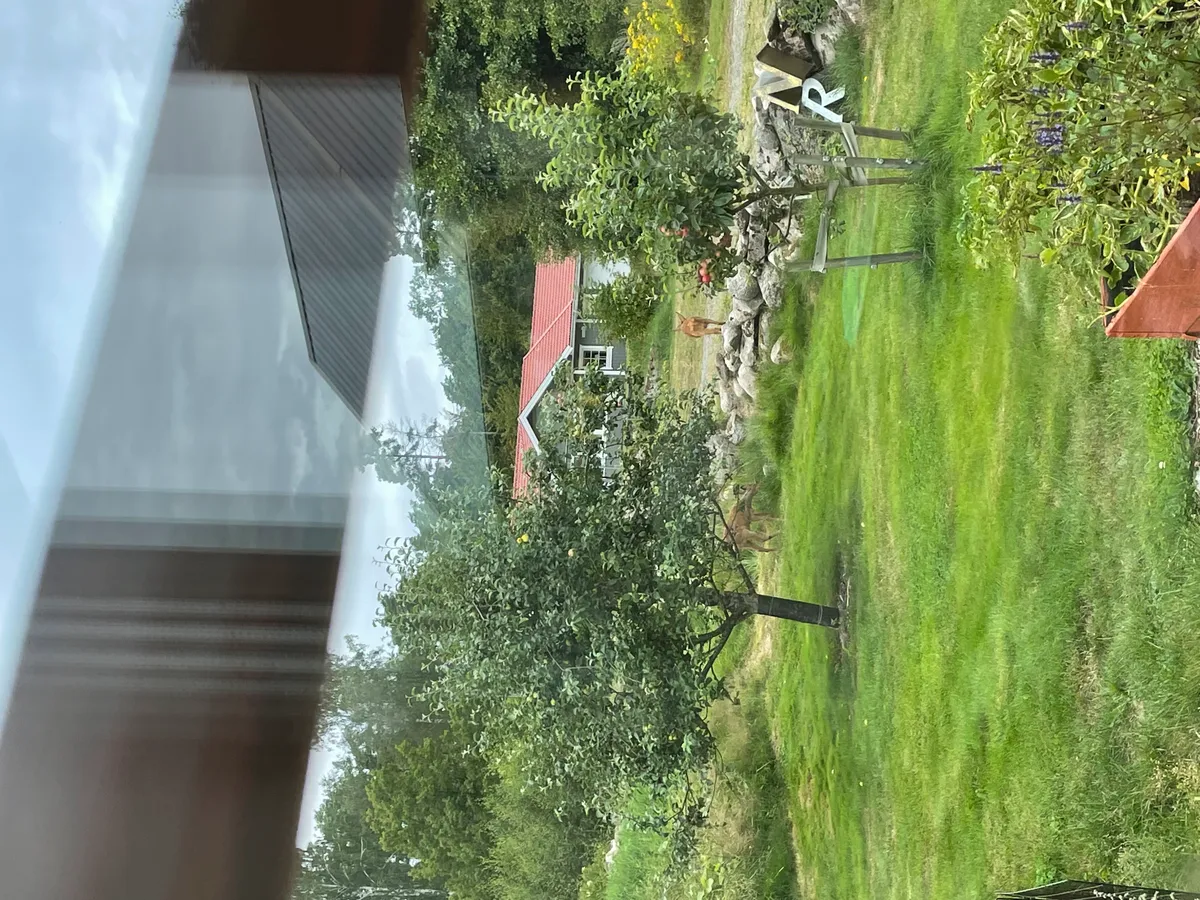 Hyreslägenhet på Varberg i varberg