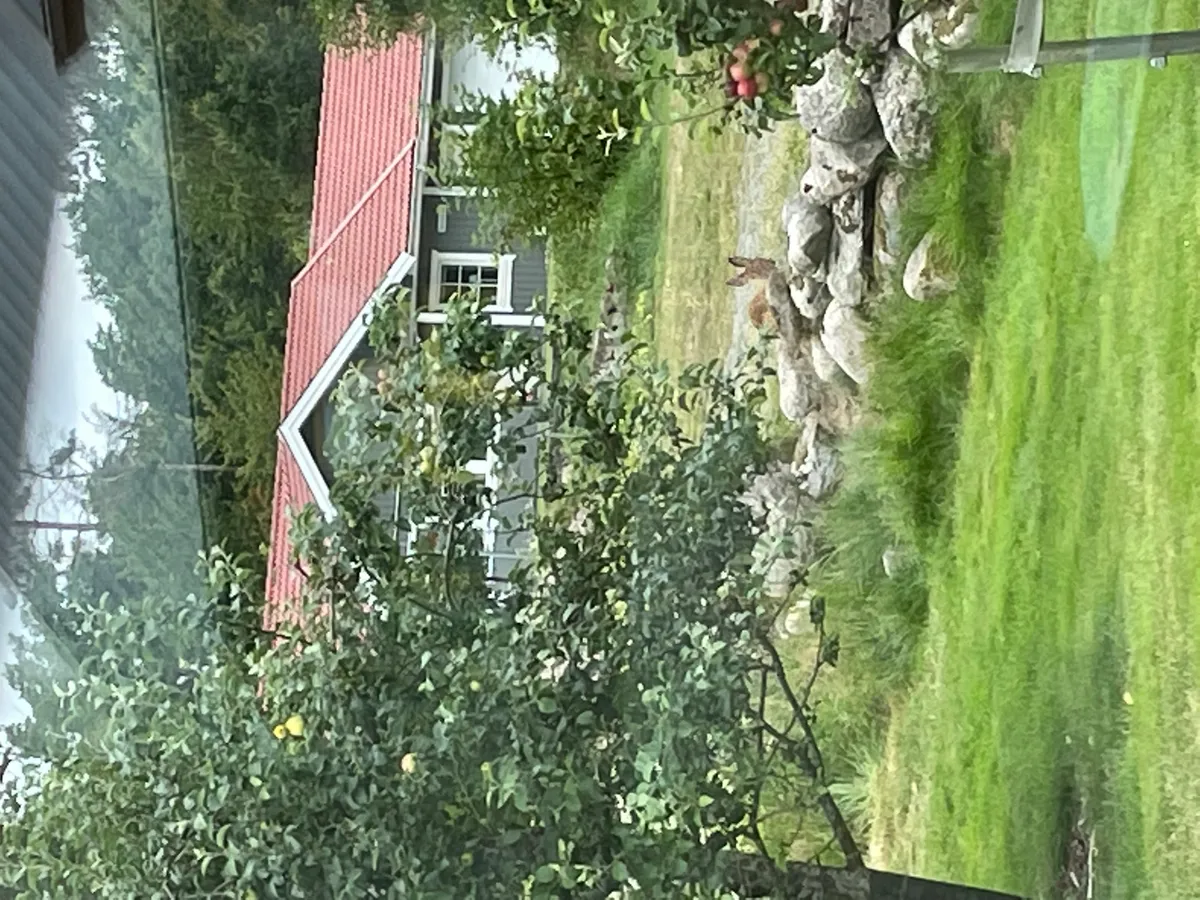 Hyreslägenhet på Varberg i varberg