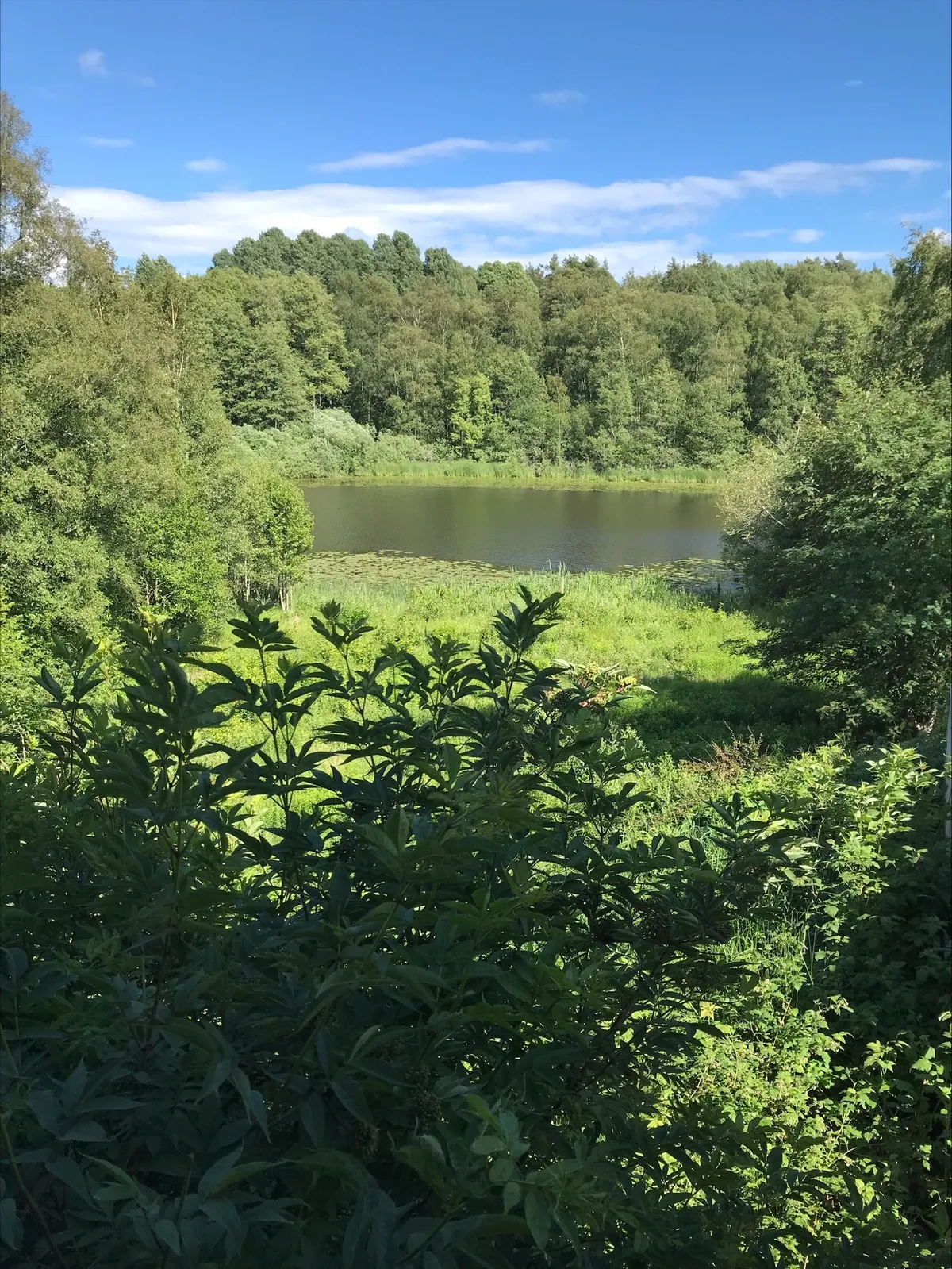 Hyreslägenhet på Tumba i tumba