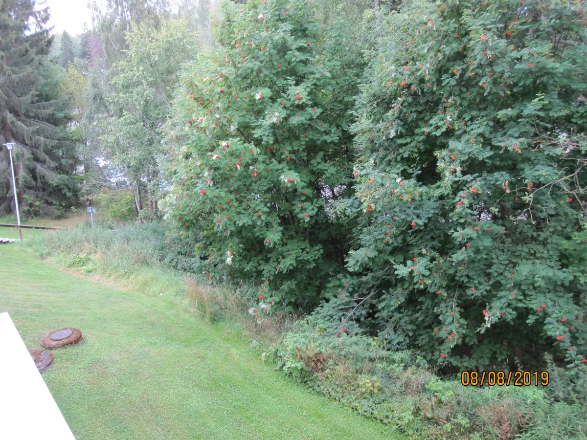 Hyreslägenhet på Tampere i tampere