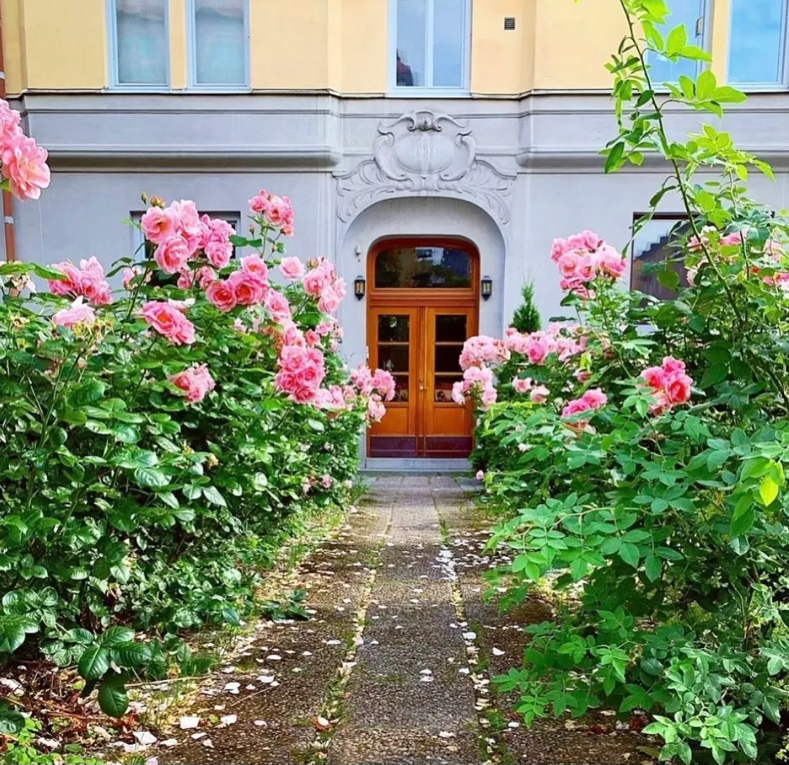 Hyreslägenhet på Stockholm i stockholm