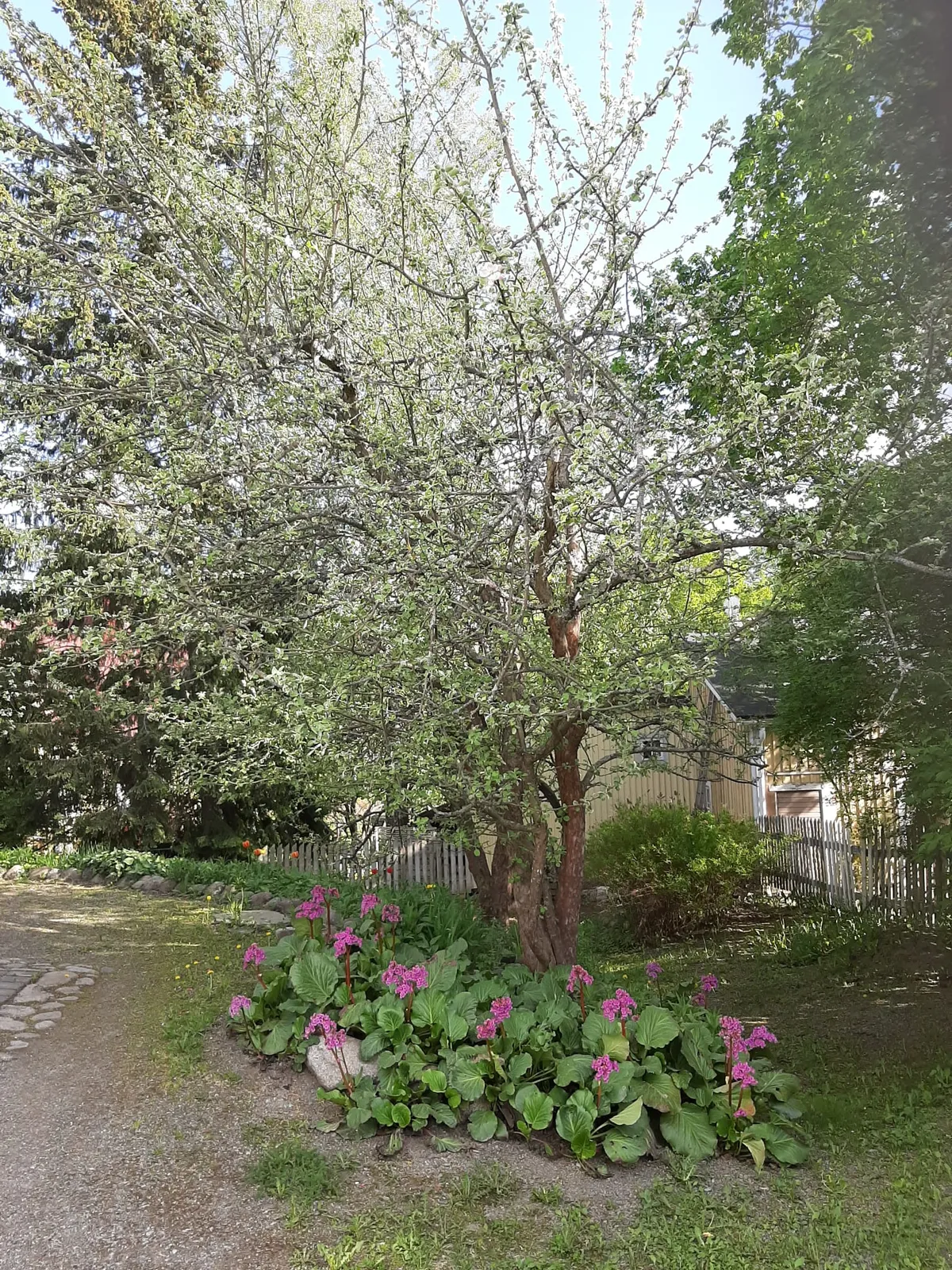 Hyreslägenhet på Tampere i tampere