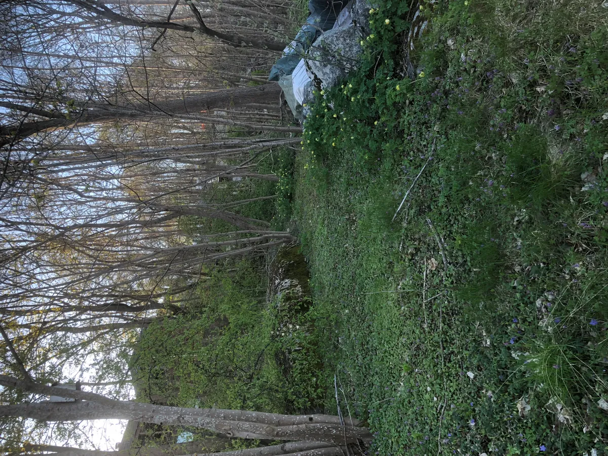 Hyresbostad på Turku i turku