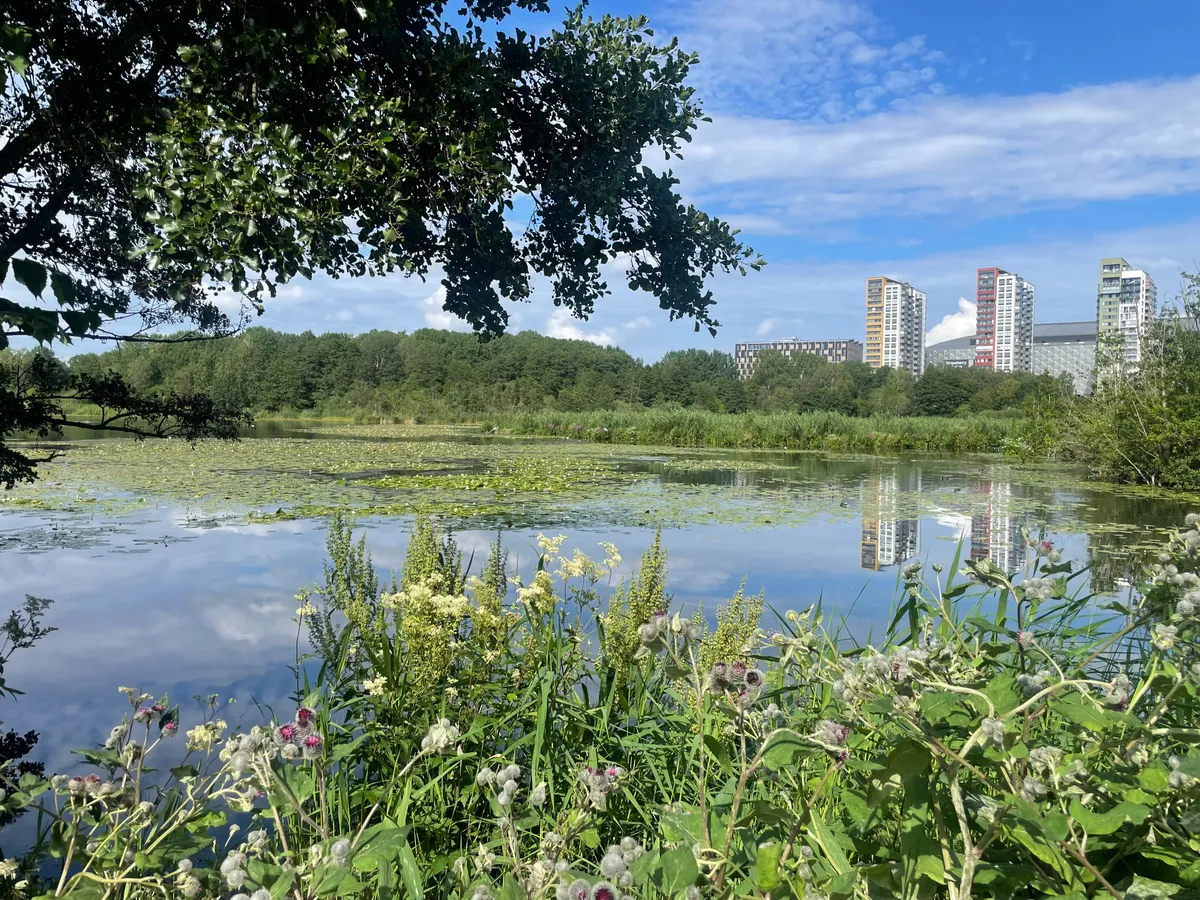 Hyreslägenhet på Sundbyberg i sundbyberg