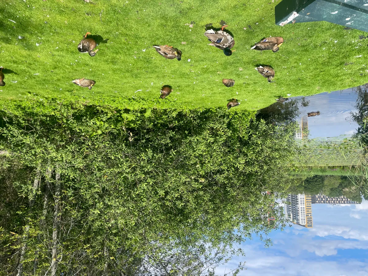 Hyreslägenhet på Sundbyberg i sundbyberg