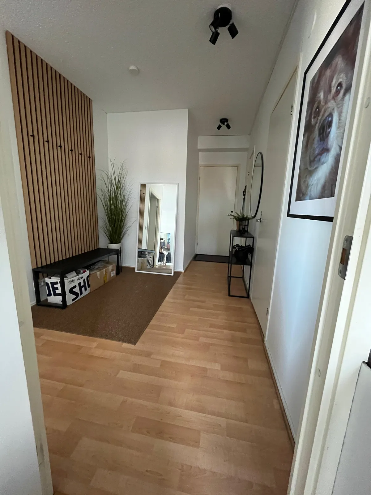 Hyreslägenhet på Joensuu i joensuu