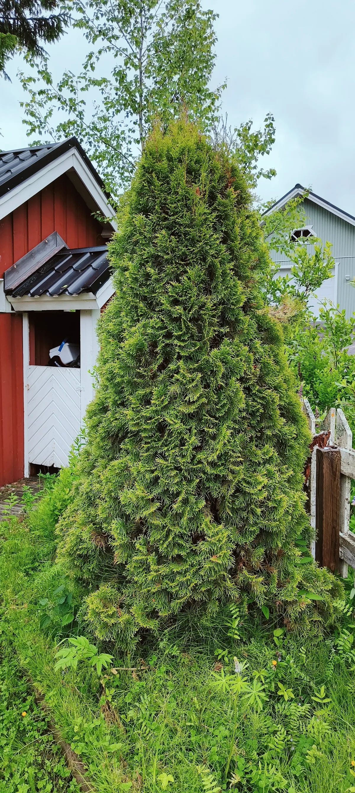 Hyresbostad på Oulu i oulu