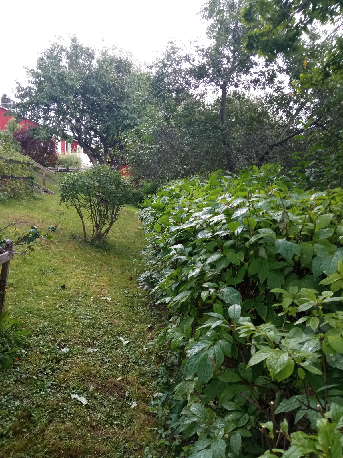 Hyresbostad på Kramfors i kramfors