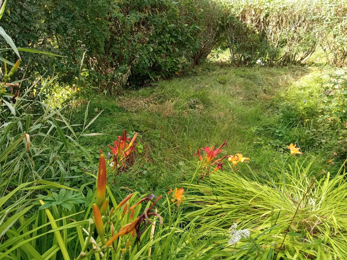 Hyresbostad på Kramfors i kramfors