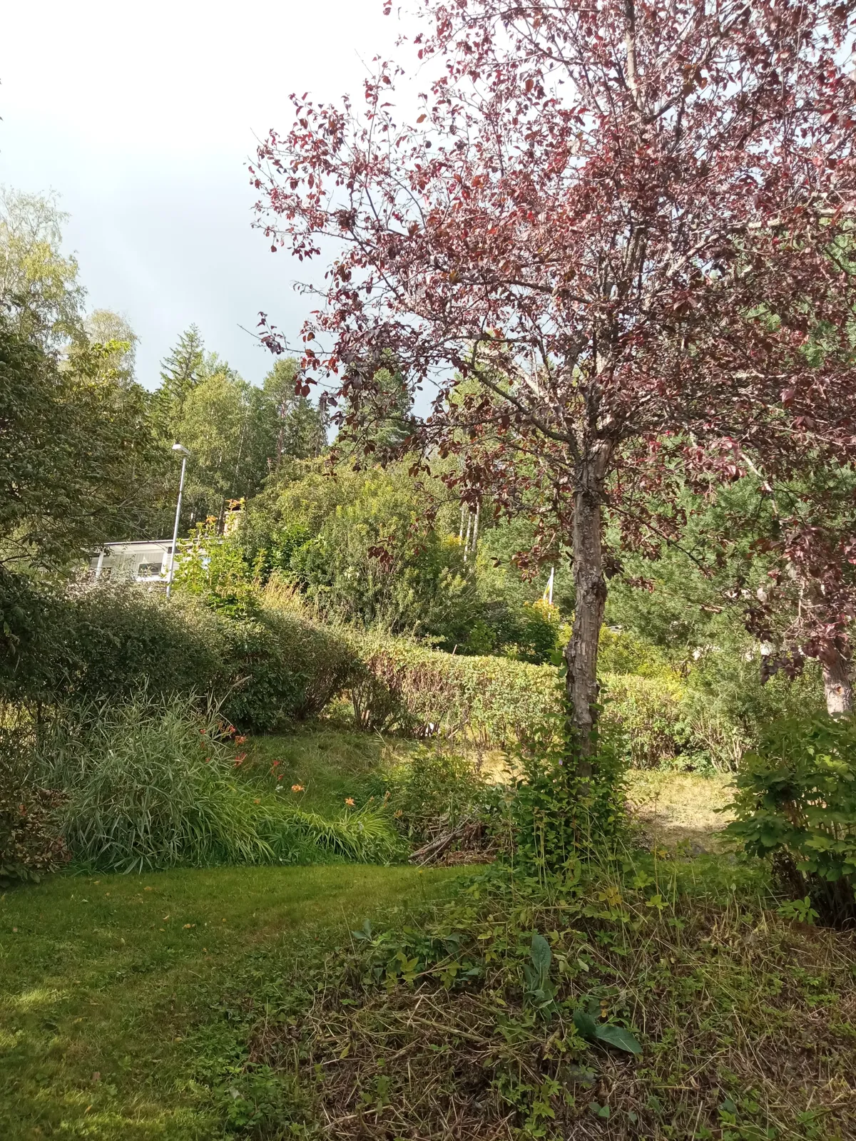 Hyresbostad på Kramfors i kramfors