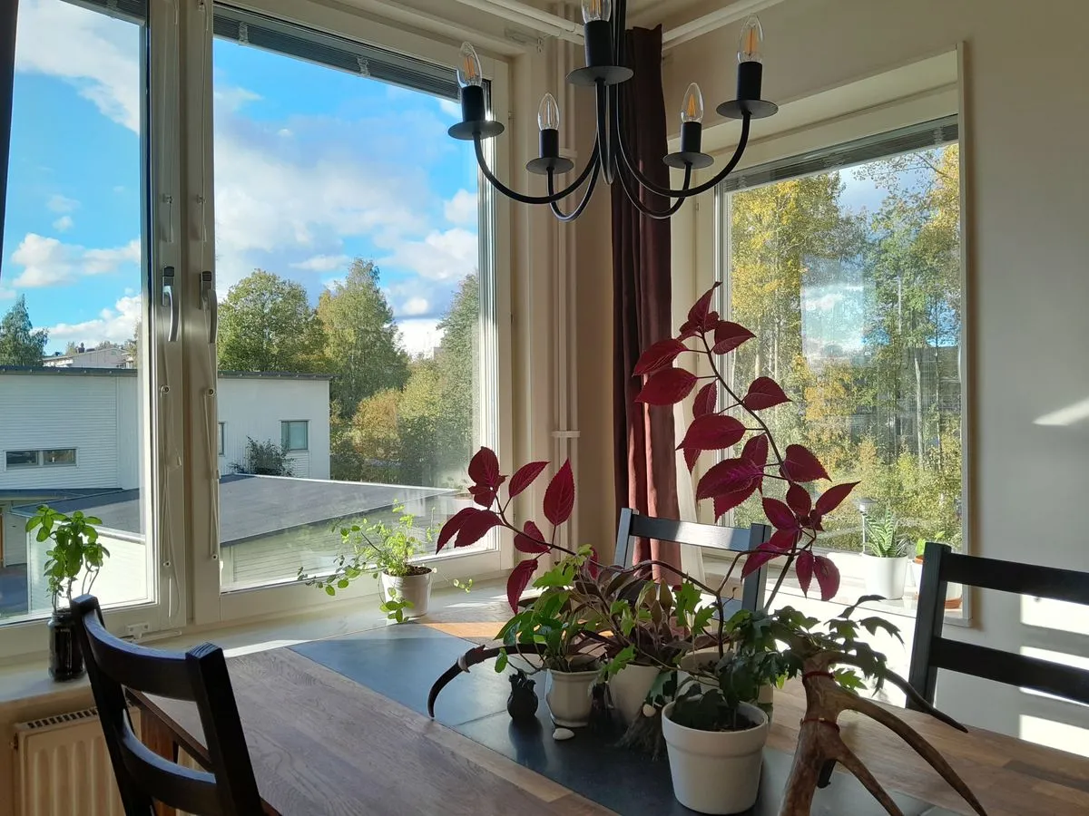 Hyreslägenhet på Umeå i umea