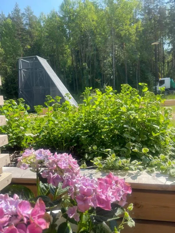Hyreslägenhet på Turku i turku