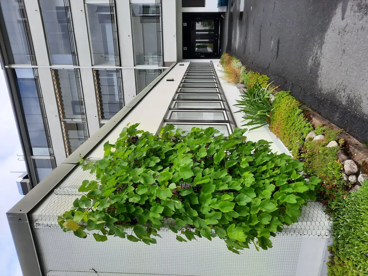 Hyreslägenhet på Jyväskylä i jyvaskyla
