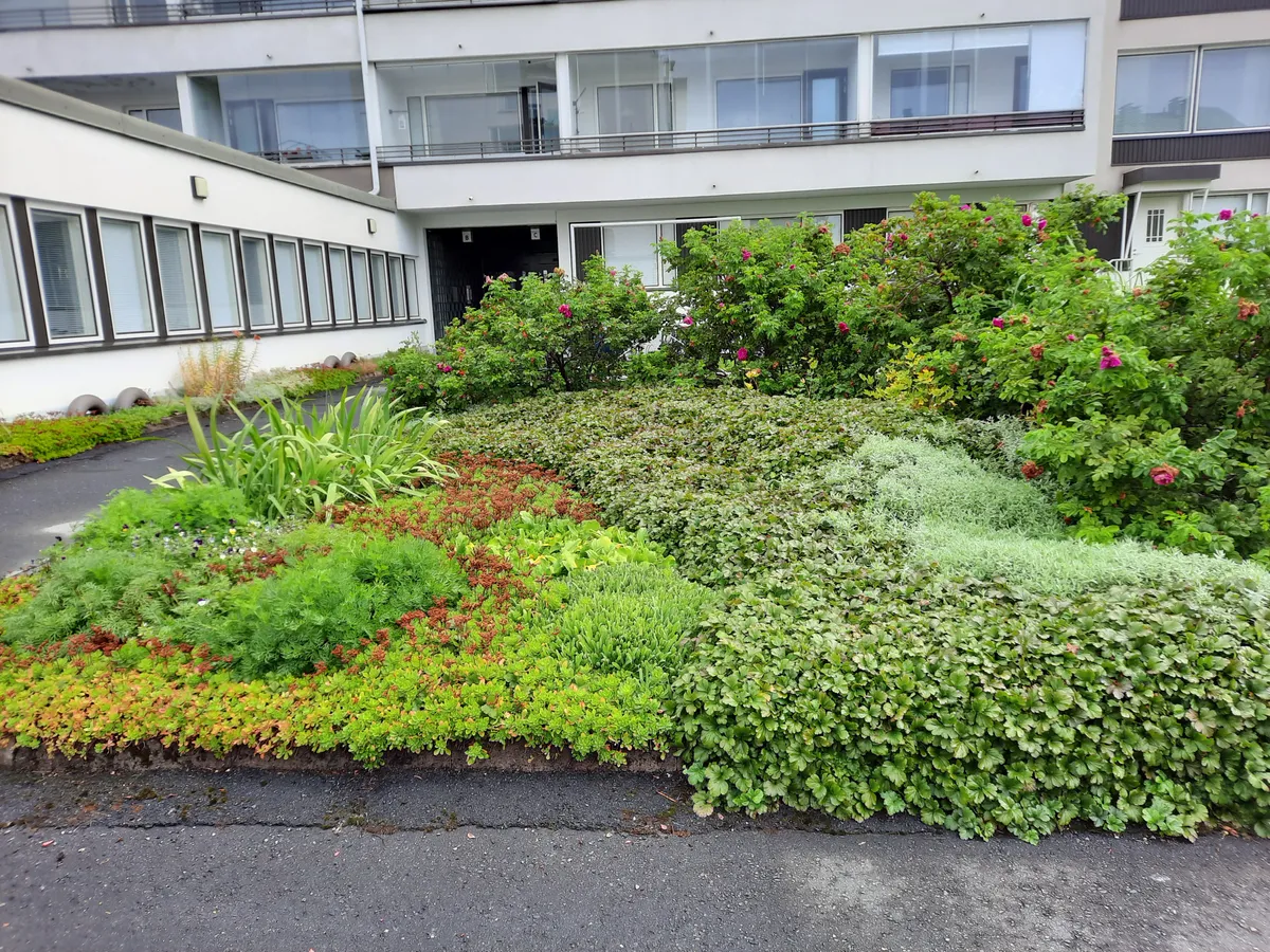 Hyreslägenhet på Jyväskylä i jyvaskyla