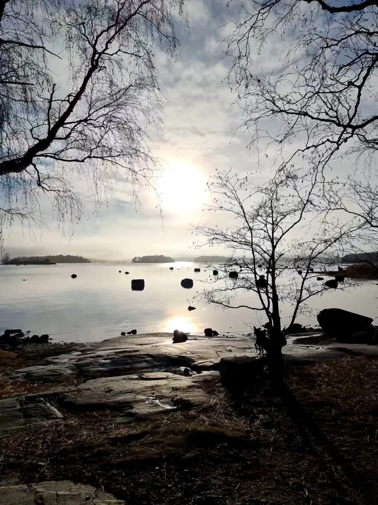 Hyreslägenhet på Helsinki i helsinki