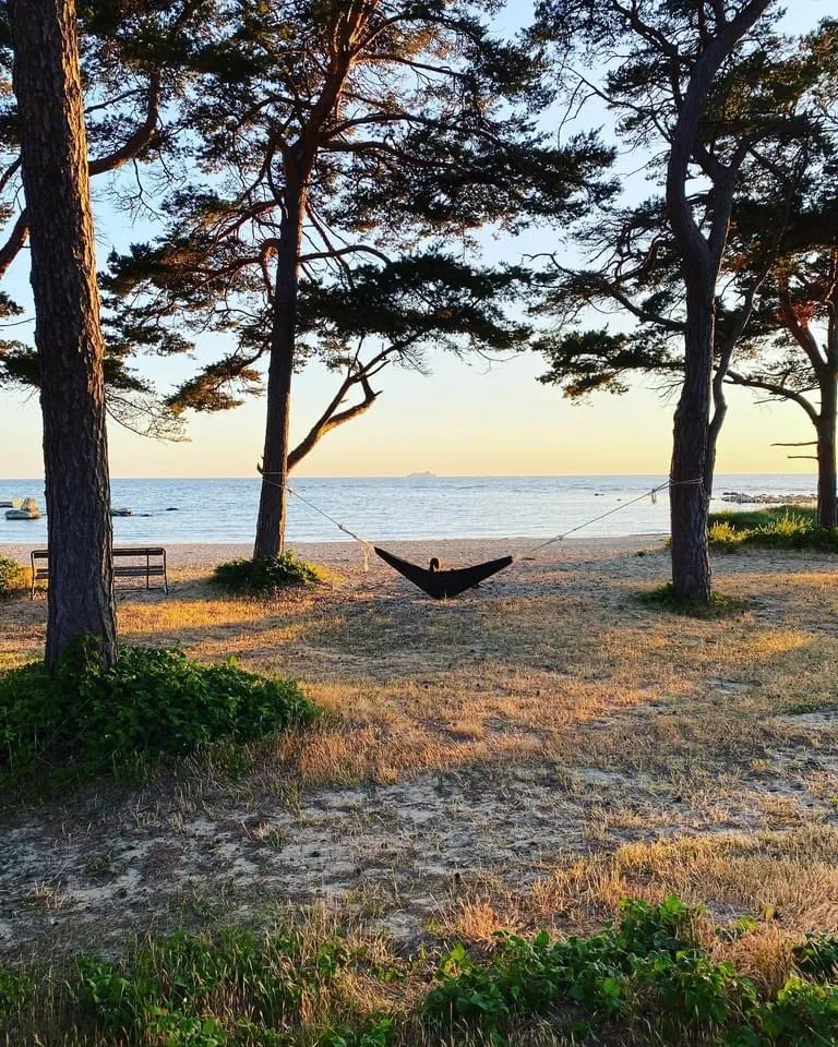 Hyreslägenhet på Visby i visby