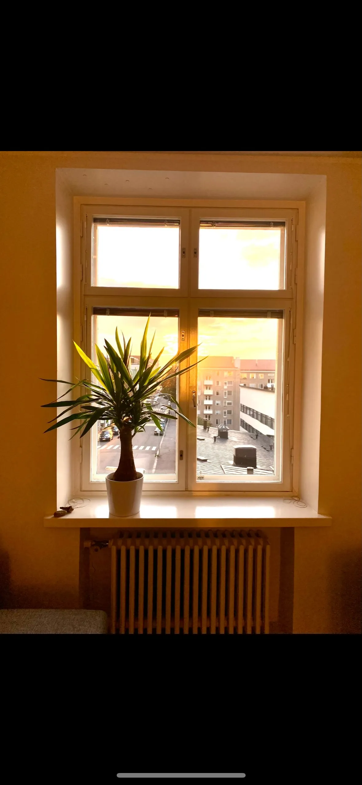 Hyreslägenhet på Helsinki i helsinki