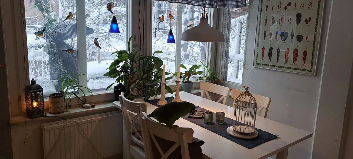 Hyresbostad på Sundbyberg i sundbyberg