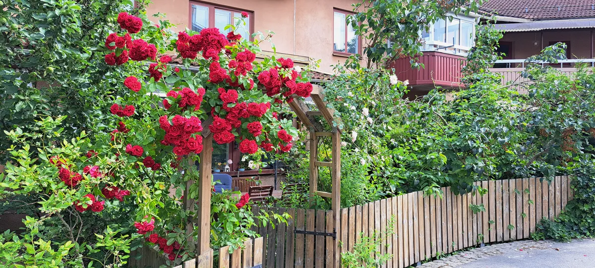Hyresbostad på Sundbyberg i sundbyberg