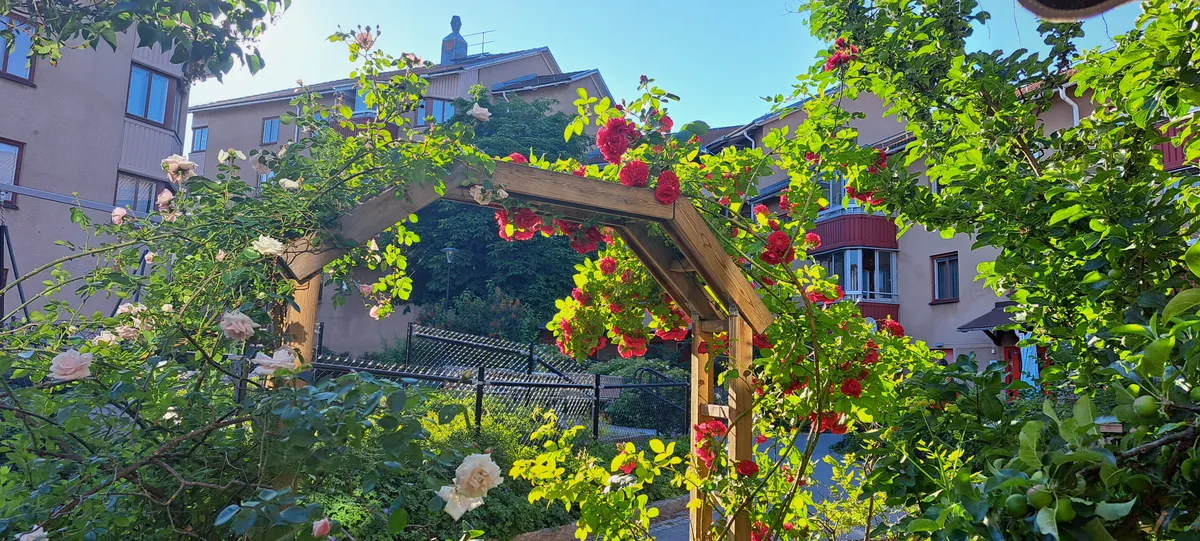Hyresbostad på Sundbyberg i sundbyberg
