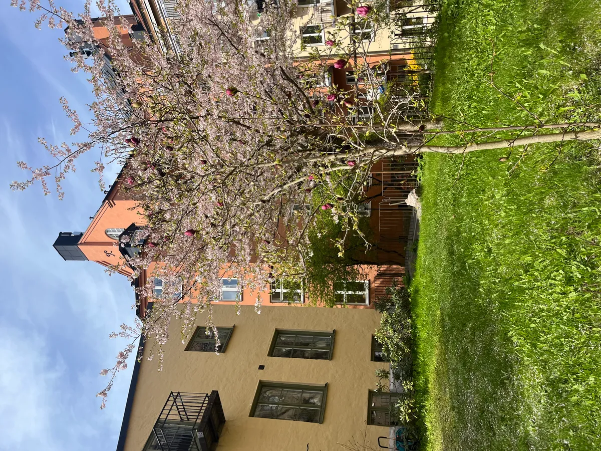 Hyreslägenhet på Stockholm i stockholm
