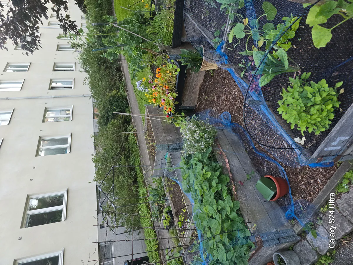 Hyreslägenhet på Göteborg i goteborg