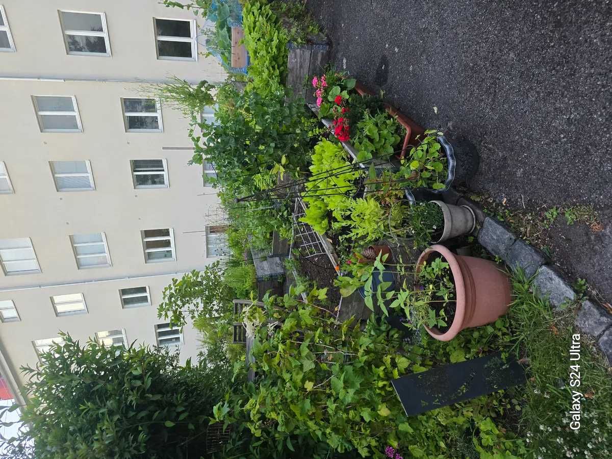 Hyreslägenhet på Göteborg i goteborg
