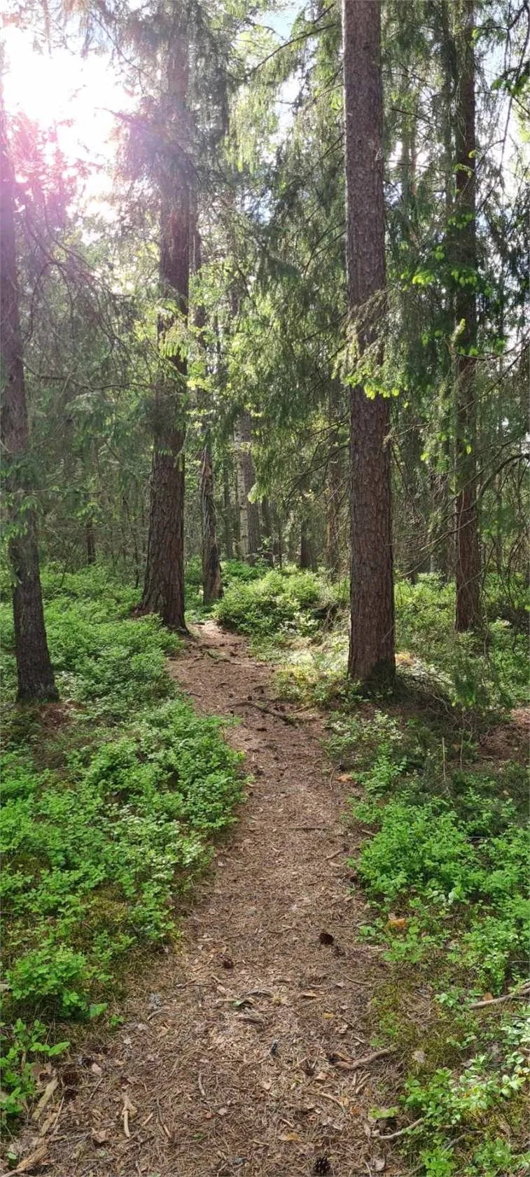Hyreslägenhet på Karlstad i karlstad