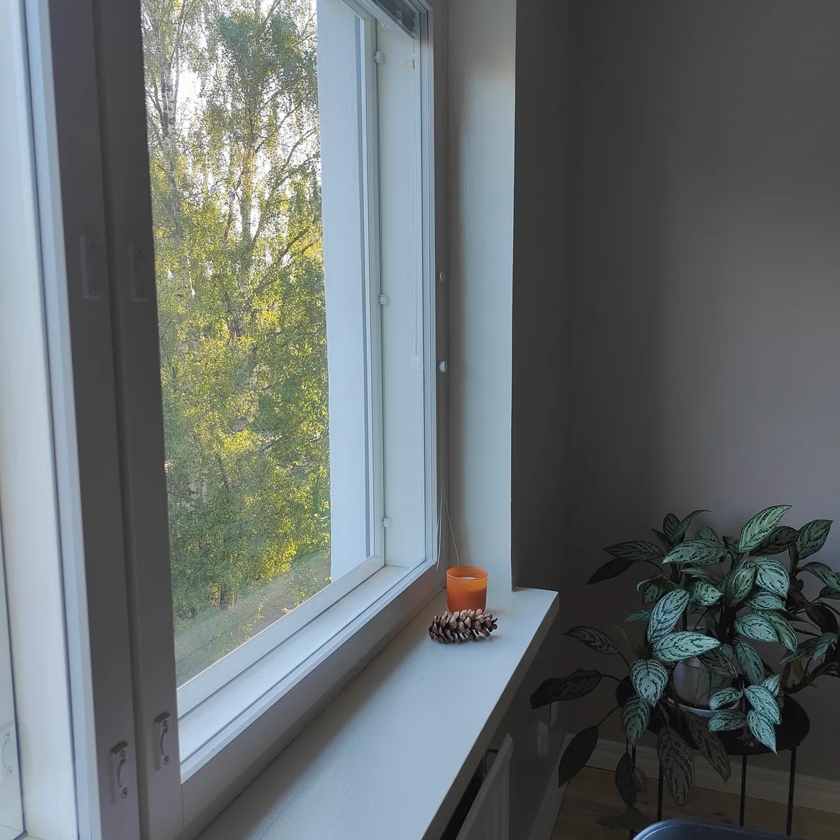 Hyreslägenhet på Oulu i oulu
