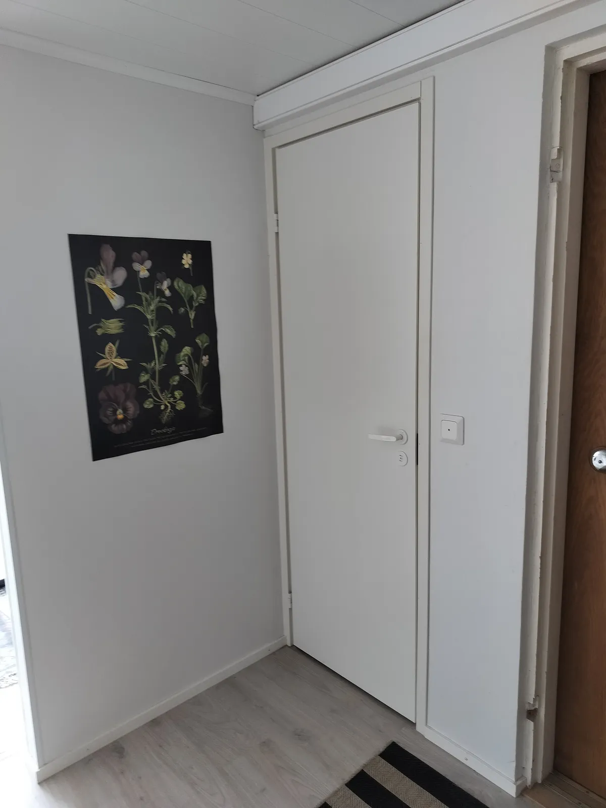 Hyreslägenhet på Oulu i oulu