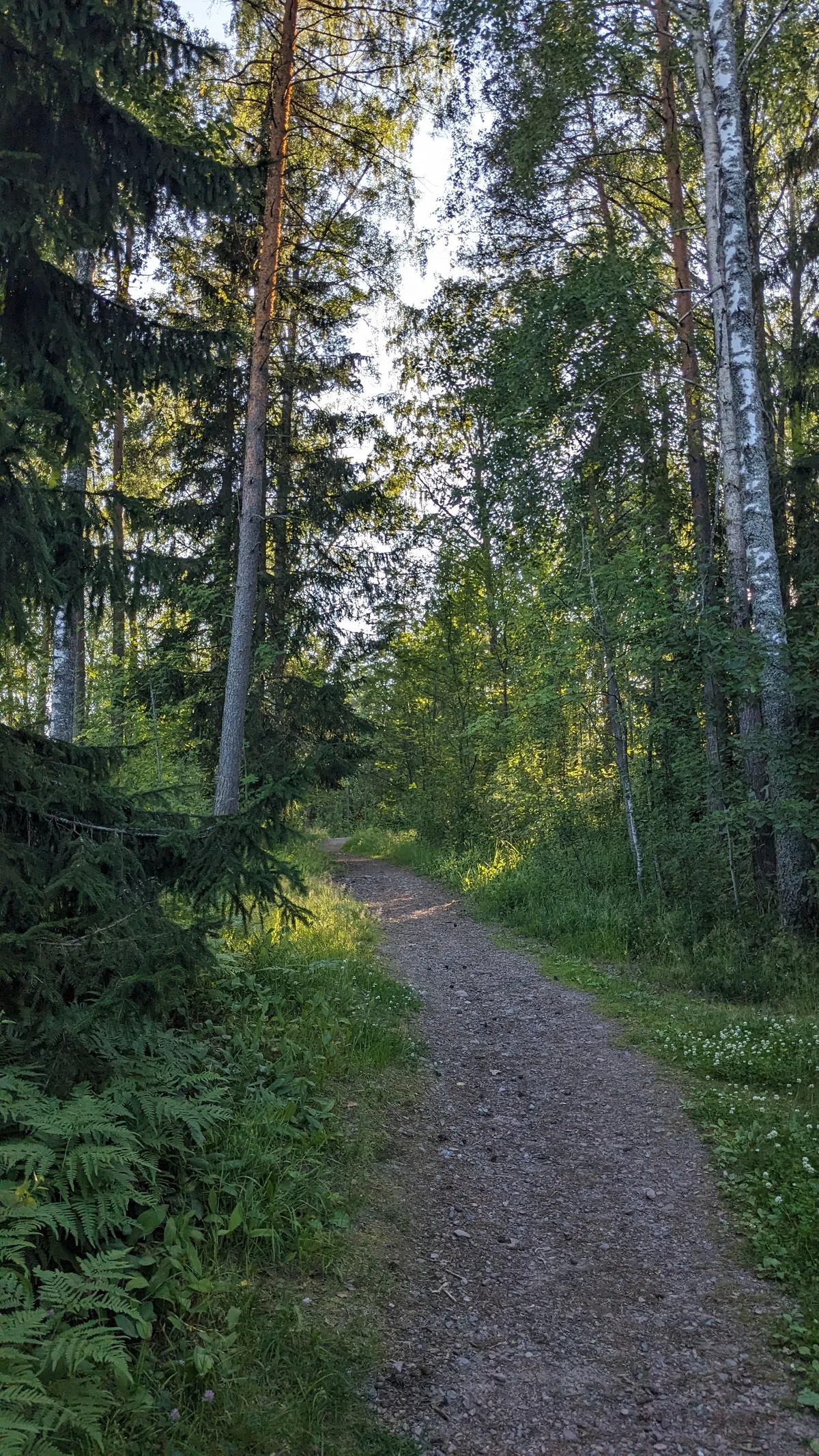 Hyreslägenhet på Helsinki i helsinki