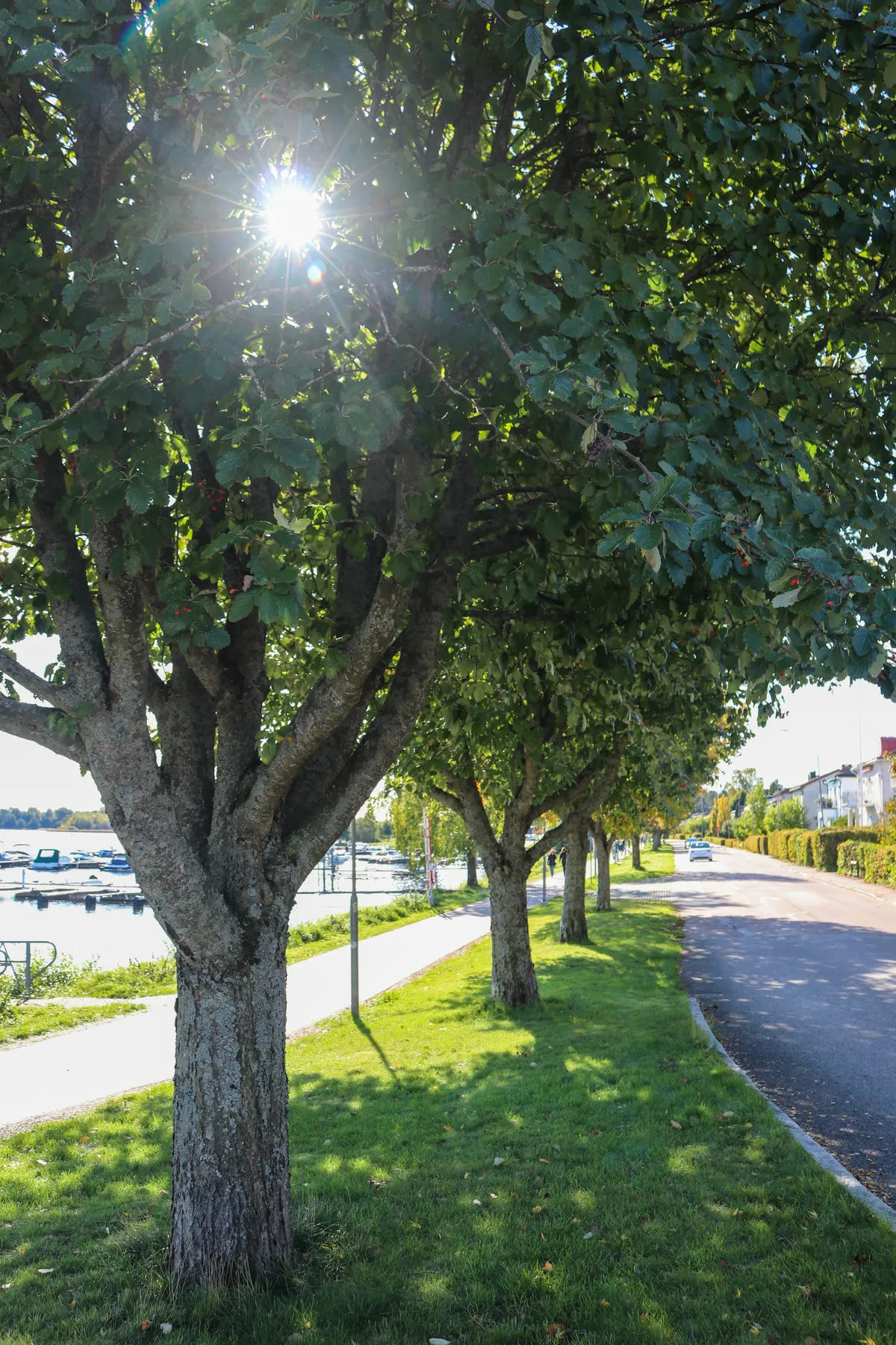 Hyreslägenhet på Karlstad i karlstad