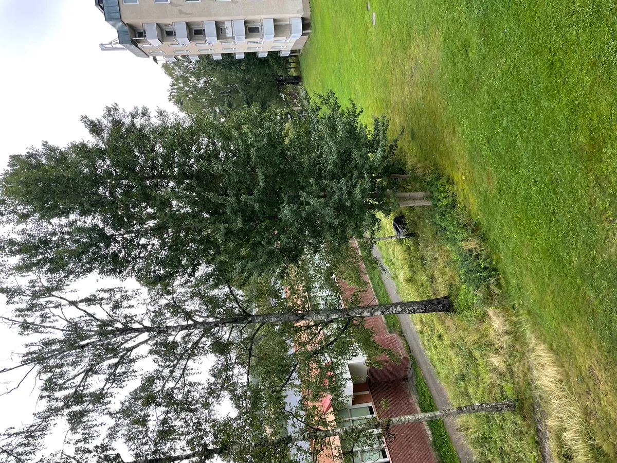 Hyreslägenhet på Västerås i vasteras