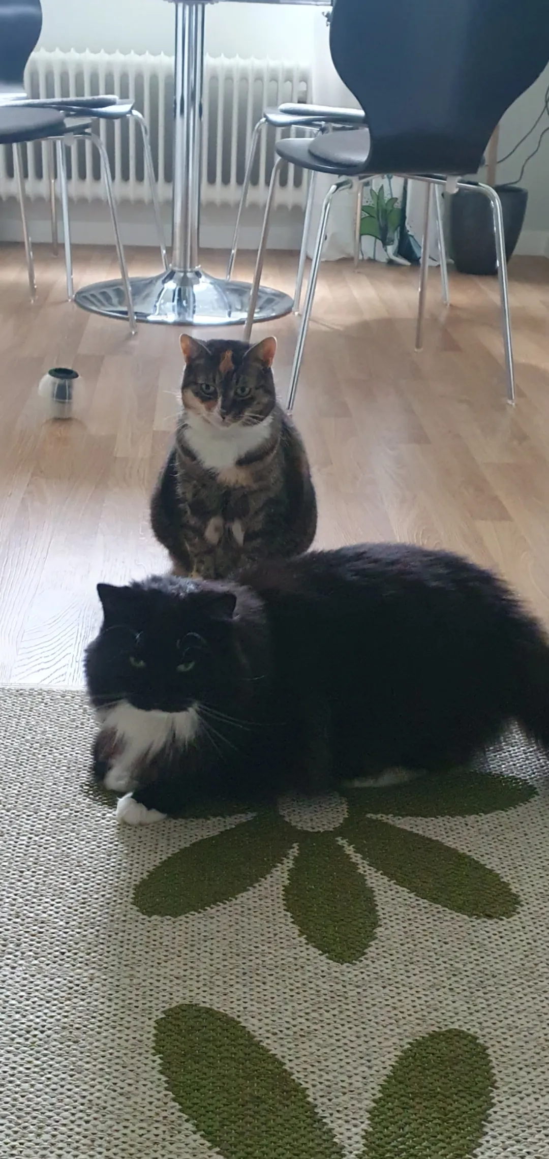 Hyreslägenhet på Täby i taby