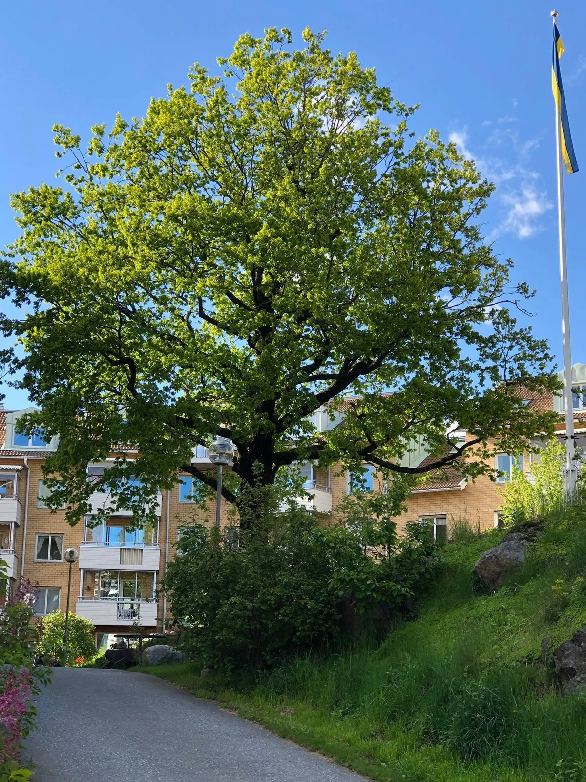 Hyreslägenhet på Huddinge i huddinge